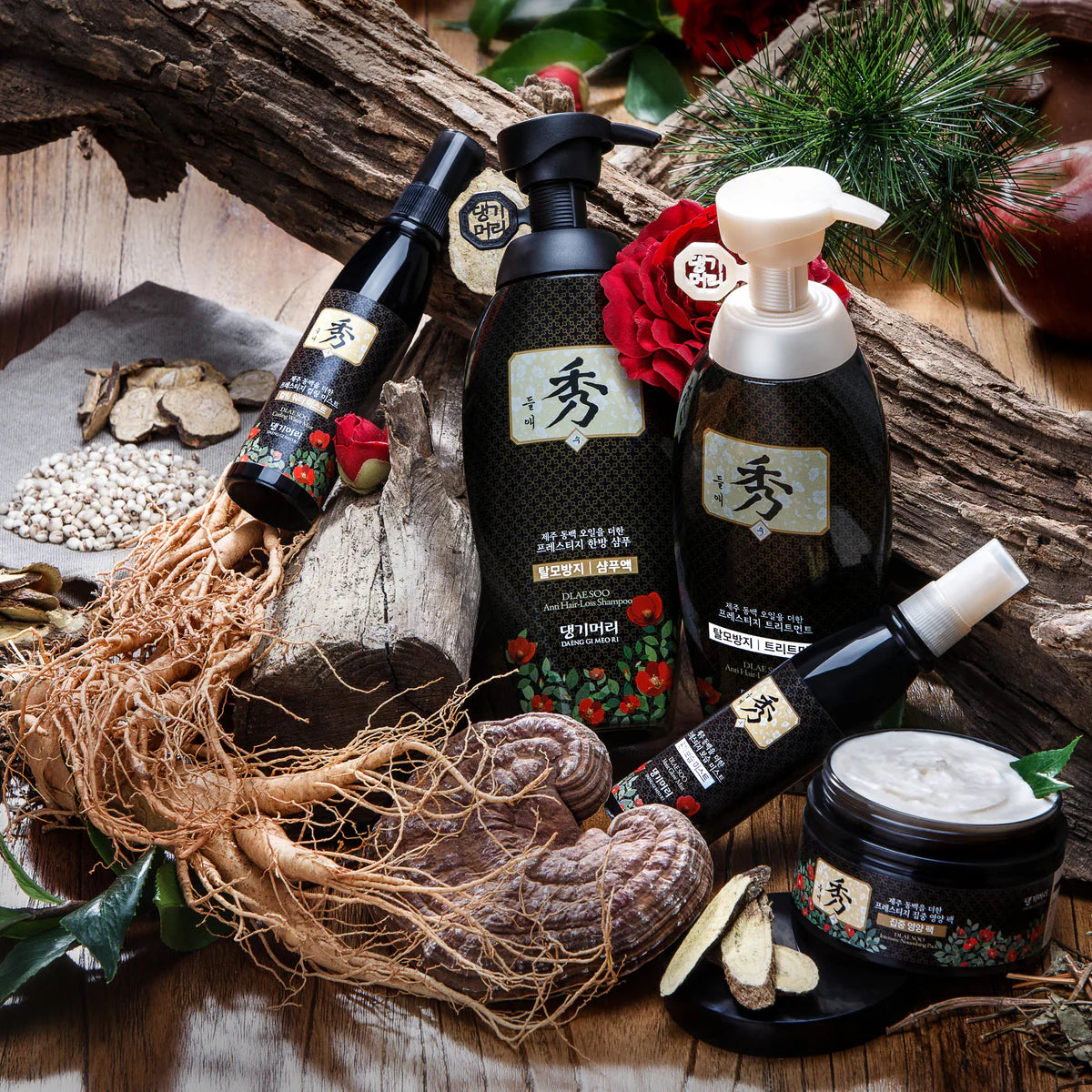 Daeng Gi Meo Ri - Dlae Soo Hair Loss Care Shampoo