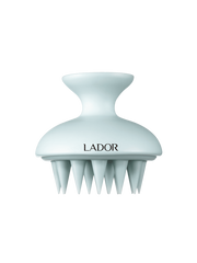 LADOR - Dermatical Shampoo Brush Blue
