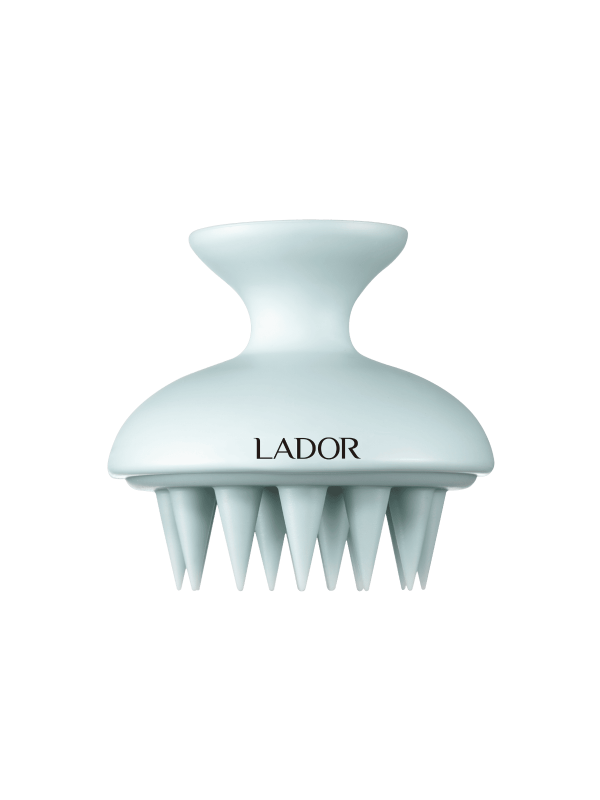 LADOR - Dermatical Shampoo Brush Blue